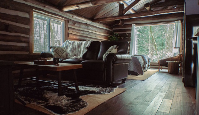 Vanderkamp NY – Wohlleben Cabin Secluded Forest Retreat on 850 Acres