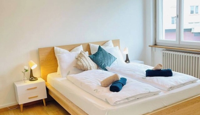 Vantage Point spacious 3 bedroom apartment | Olten Switzerland| railway station