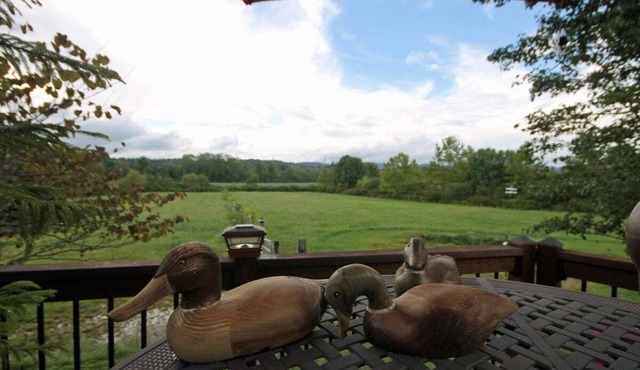 Vaquero on French Broad River valley near Brevard, one level, Dogs OK, free Biltmore Pass