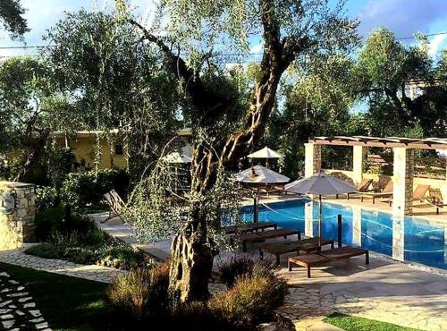 Vassilis Guest House