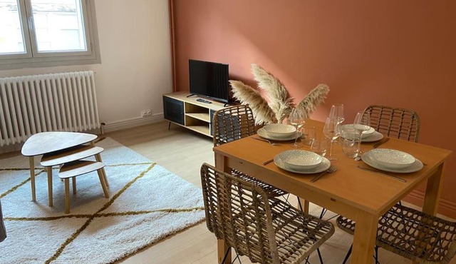 Vaste Appartement Rénové - Centre Ville