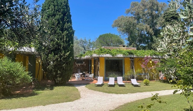 Vaste Maison D'architecte Avec Jardin Arboré
