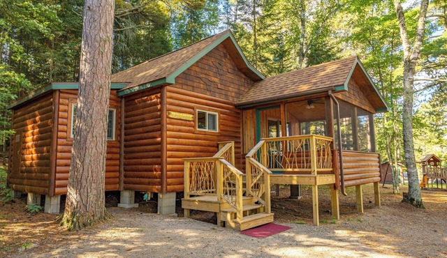 Vaulted Ceilings and a Stunning Main Room (Pet-Friendly)