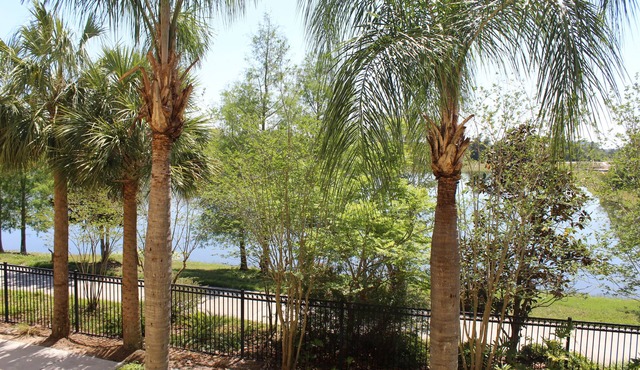 VC 205 - World, Convention Center, Sea World