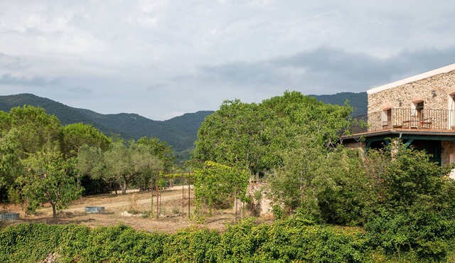 Vegan Rural Cottage in the middle of Nature