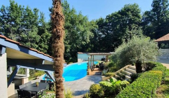 Venez Vous Ressourcer au Milieu D'une Chênaie