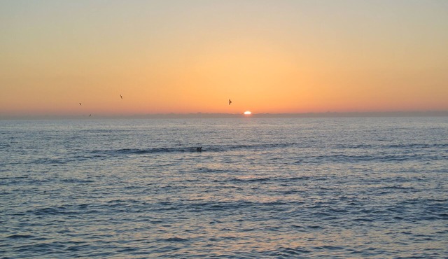 Venice Florida Condo