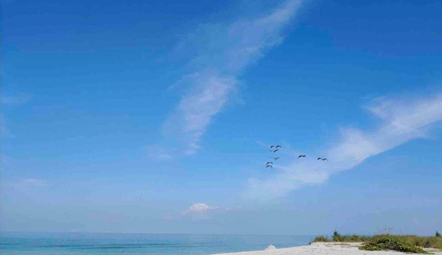 Venice Island's Paradise By The Sea