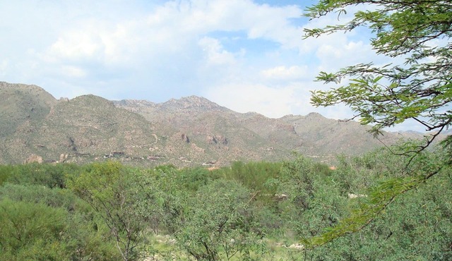 Ventana Golf and Catalina Mountain views highlight this Superior 2 bedroom