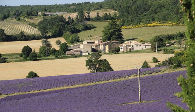 Ventoux Lavandes Velos *