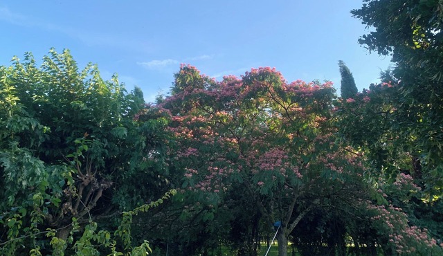 Vercors en vert, charming bed and breakfast. Manon room