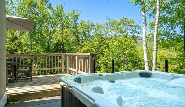 Vermont Charm: A/C, Hot Tub, Epic Stratton Mountain Views