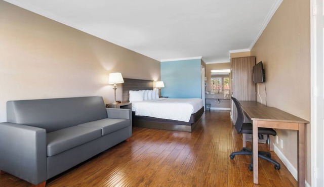Vero Beach Inn and Suites | King Deluxe | Pet Friendly & Outdoor Swimming Pool