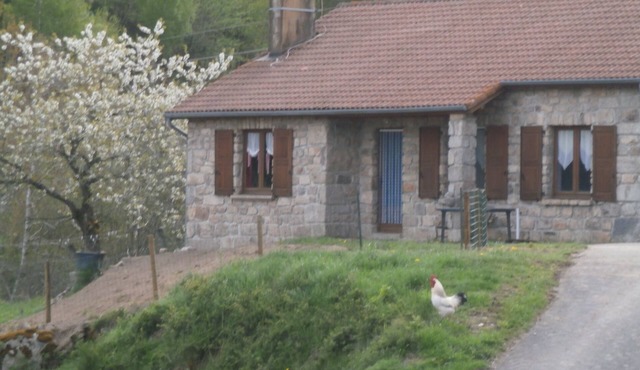 Very beautiful country granite house