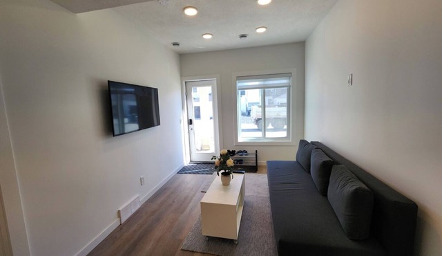 Very bright walkout basement Close to Mountains