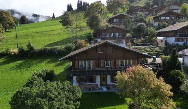 Very cozy, newly renovated vacation apartment in the Bernese Oberland - view