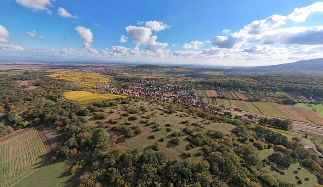 Very charming half-timbered Alsatian house on the Alsace Wine Route