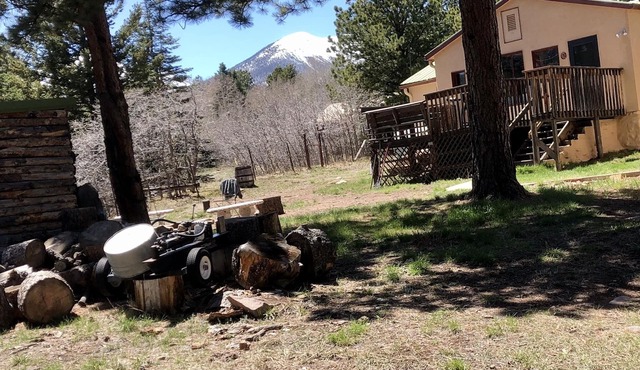 Very Comfortable Peaceful Cabin in the Foothills of the Sangre'near Westcliffe!