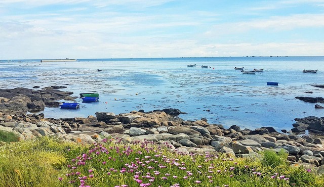 Very cozy cottage, a farmhouse with a plot of 2. 5 hectares.