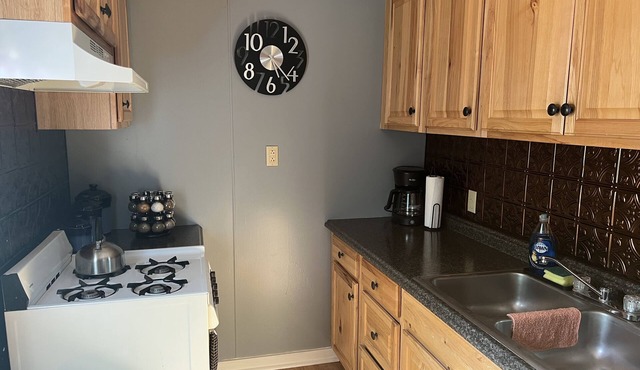 Very Cozy Hilly Hideaway Cabin near Petoskey, Boyne Falls, Harbor Springs