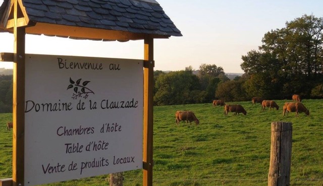 Very large property, ideal for large groups seeking tranquility