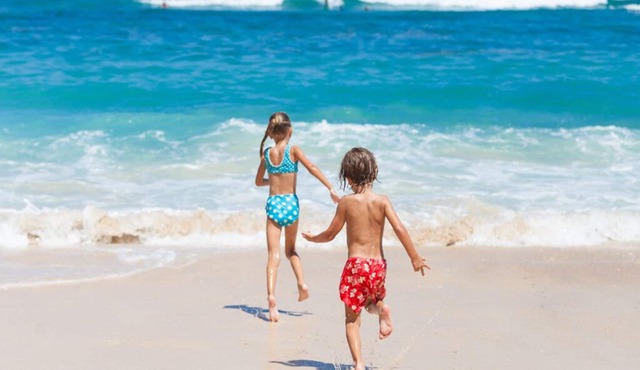 Very Large 3BR Apartment by Kawana Beach ⛱️