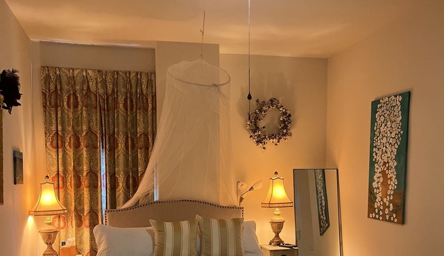 Very Near the French Quarter. BnB room with Private Bath