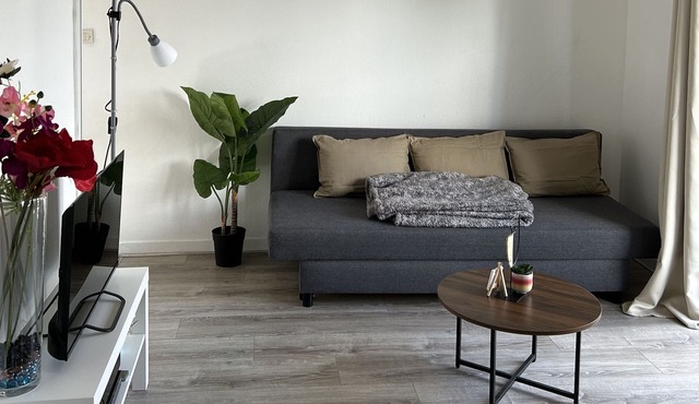 Very nice 2 room apartment: Wifi, balcony, parking ...