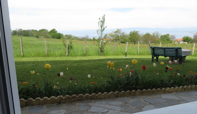 Very nice apartment in Side Villa in Evian Les Bains