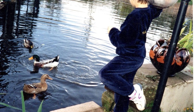 Very nice Cottage for 1 to 4 people