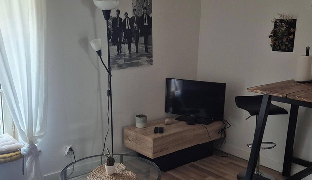 VERY NICE DOWNTOWN APARTMENT