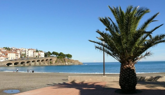 Very nice duplex 60 m2 150 m from the central beach and close to shops