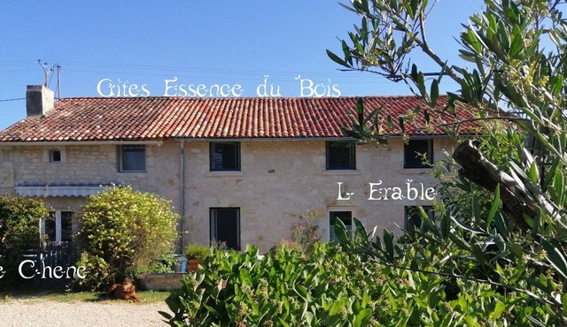 Very nice gîte for 10 people 8 mins from Futuroscope