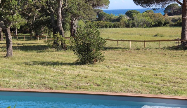 Very nice house with pool 300m from Palombaggia beach sea view private access