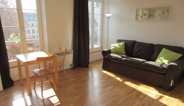 Very nice studio on the river in downtown Strasbourg