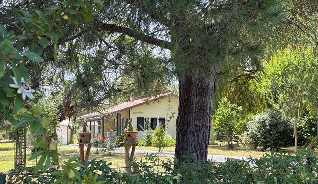 Very pleasant and functional single-storey house 80m² in a green setting.