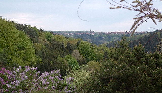 Very pleasant well equipped gîte for 12 in the heart of the northern Vosges