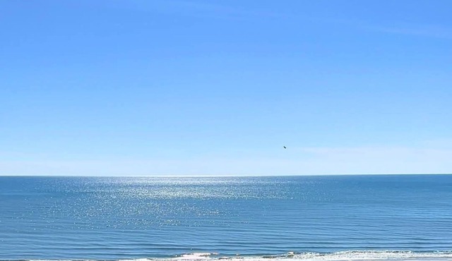 Very Popular-Ocean Front Amazing Views Ocean Creek-Tower South Condo