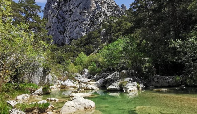 Very pretty, bright, south-facing sheepfold on an organic farm in the Verdon.