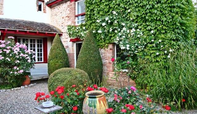 Very pretty house in the village, overlooking the Lot, quiet, flowered garden terrace
