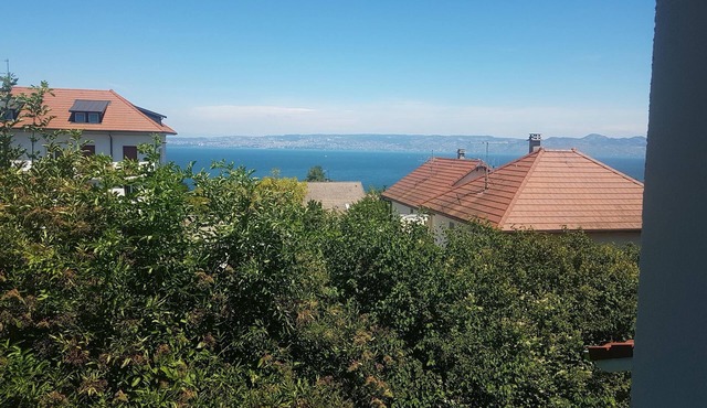 Very pretty Villa Evian/Neuvecelle