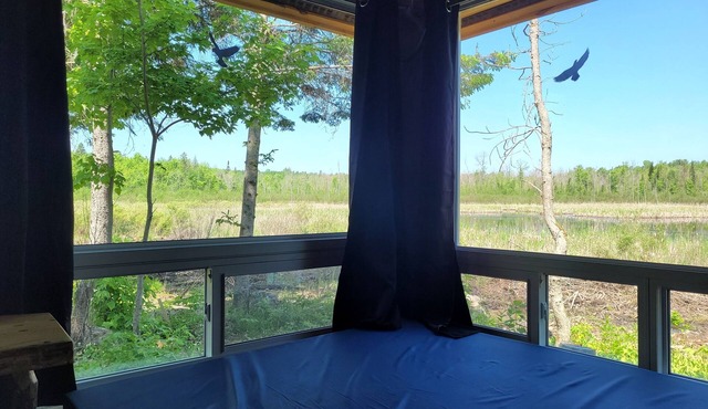 Very Private, Secluded, Nature, Pet Friendly, NO NEIGHBOURS -Red Pine cabin