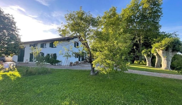 Very quiet house facing the Adour, right next to the cycle path that runs alongside the Adour.