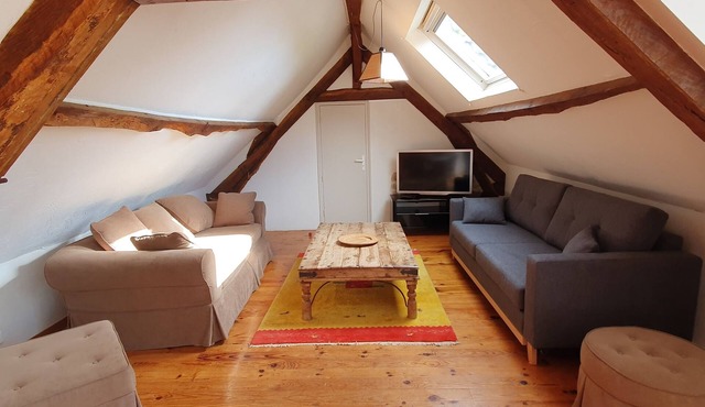 Very spacious apartment close to a fishing lake and pedestrian zone.