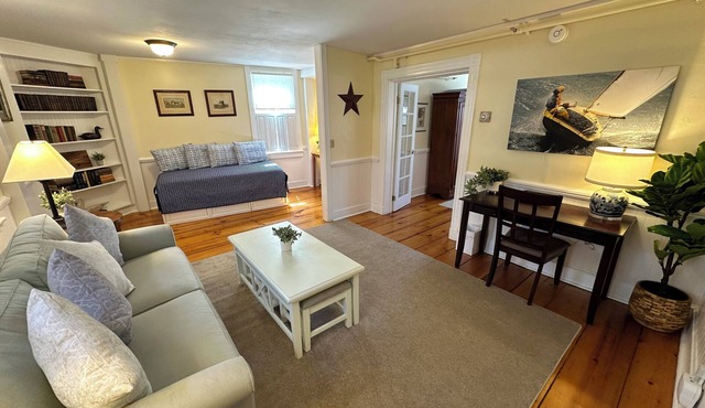 Very spacious and dog friendly 1 Bed/1 Bath/Pullout sofa and daybed Suite on Historic Spring St