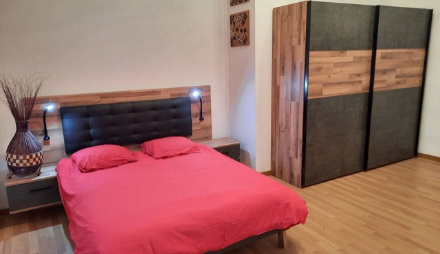 Very spacious F3 in a castle, quiet and greenery. Near Switzerland