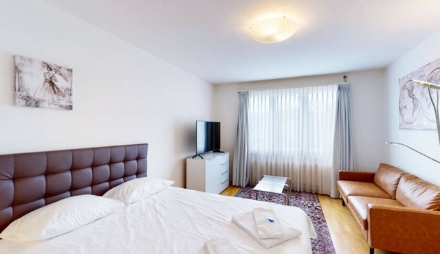 Very spacious studio/city center (Parkview 4)