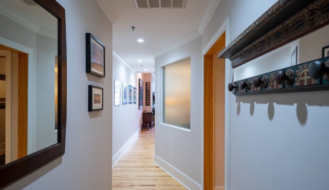 Very Special Downtown Asheville Loft