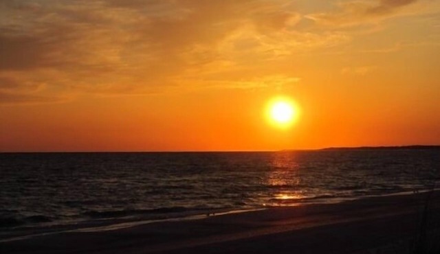 Veteran Owned, Elevator, Pool, Beachview - Club at Mexico Beach 1G