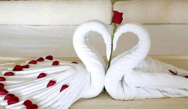 Vetrelax Basildon House